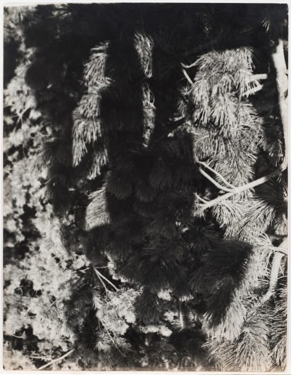 Erwin Blumenfeld, Erwin Blumenfeld’s shadow amidst Dutch, Holland, 1931