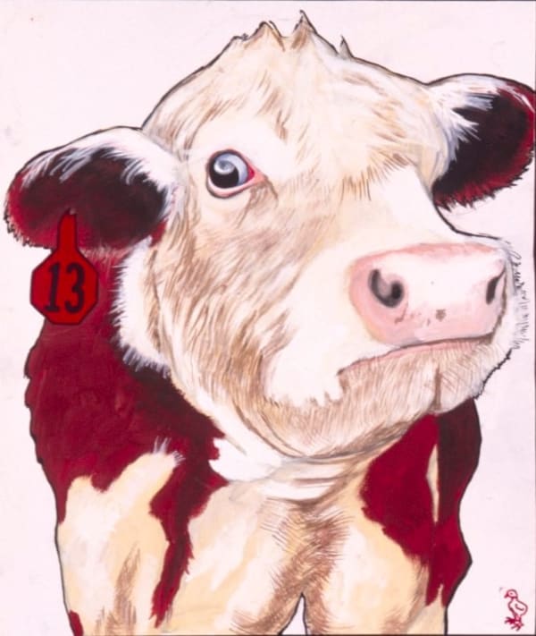 Cow #13