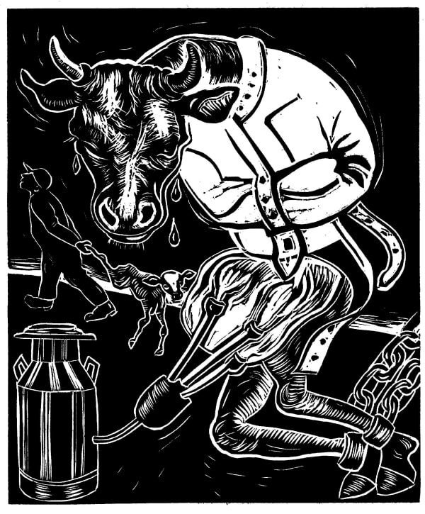 Mad Cow