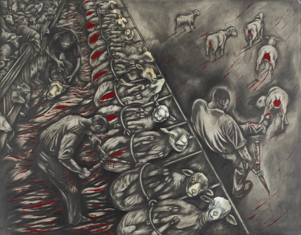 Mulesing: Cutting Off the Vaginal Folds with No Anesthetic