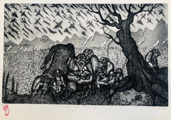 Upper and Lower Primates