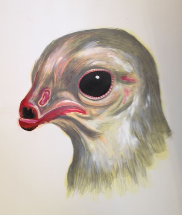 Debeaking, 2003 Graphite, gouache, and watercolor on white Strathmore Bristol board 29 x 23 in (73.6 x 58.4 cm) Series: Cruel