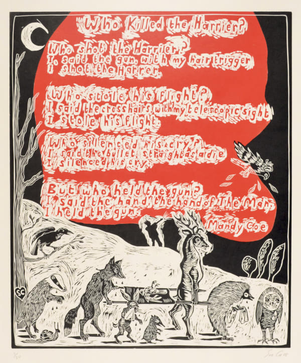 Who Killed the Harrier?