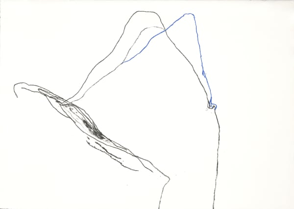 Paco Knöller_The thinking reed