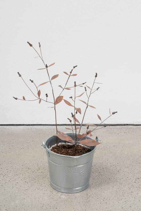 José Montealegre, página 0034, figura 2, 2021