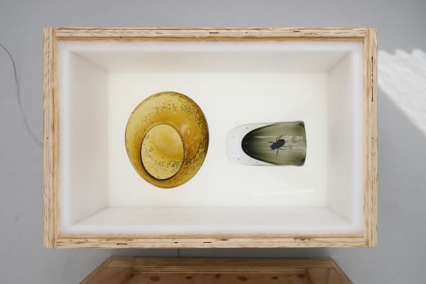 Maria Loboda Vasemania / Urn Burial, 2025 Hand blown glass vases, wooden crate, insect 79.5 x 49.5 x 49.5 cm 31 1/4 x 19 1/2 x 19 1/2 in