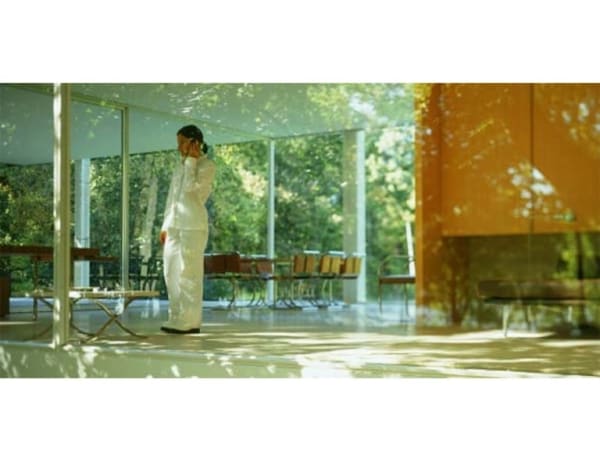 Iñigo Manglano-Ovalle FM (0169275275S), 2000 DVD single channel projection , color , sound