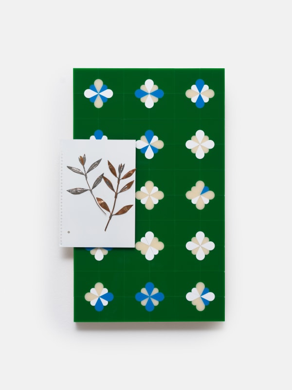 José Montealegre, division, 2025