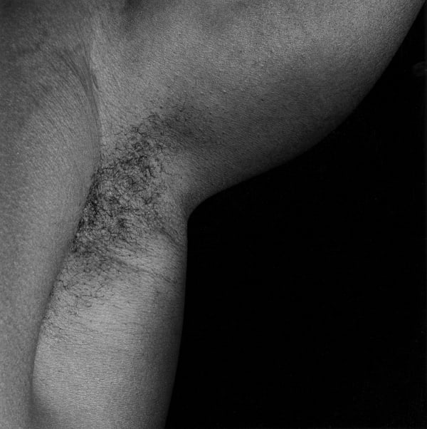 Robert Mapplethorpe Armpit/Livingston, 1988 silver gelatin print AP 1/2