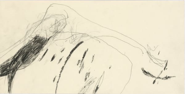 Z604_2000__bis _zum_aeussersten_Ende_des_Mundes__Bleistift_auf Papier_30x59cm