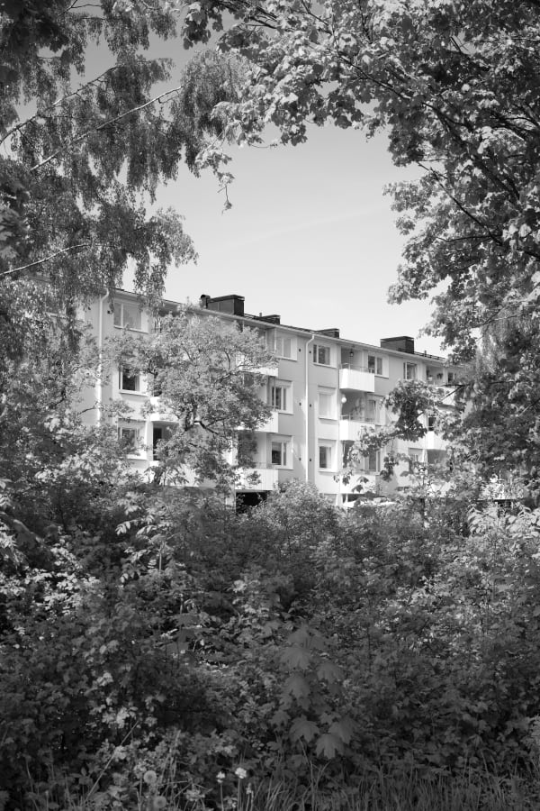 David Hartt, The Garden (Acer platanoides, Acer saccharinum, Ulmus glabra, Taraxacum officinale, Prunus virginiana, Sambucus nigra, Geum aleppicum, Centaurea cyanus, Crataegus monogyna, Rosa acicularis, unidentified grass / Uppsala, Sweden / May 29, 2023), 2023