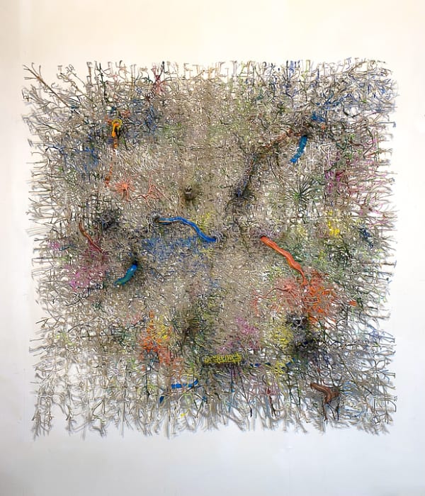 Fabian Marcaccio, Neural Resources