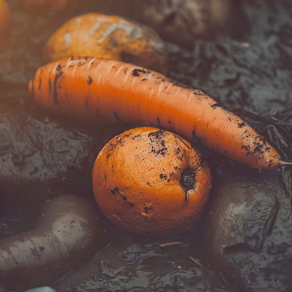 Willem de Rooij Carrots and Oranges II, 2023 Archival pigment print 60 x 60 cm 23 5/8 x 23 5/8 in Edition of 1 plus 1 artist's proof
