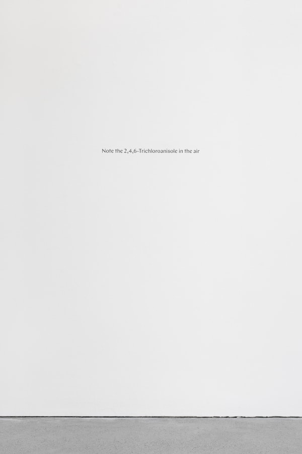 Maria Loboda Note the..., 2020 Vinyl lettering 4 part work Dimensions variable