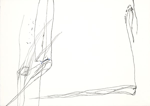 Paco Knöller_The thinking reed