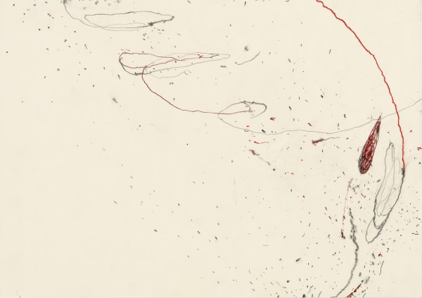 Z757_2018__Lichtsaat__Bleistift_und_Farbstift_auf_Papier_42x60,5cm