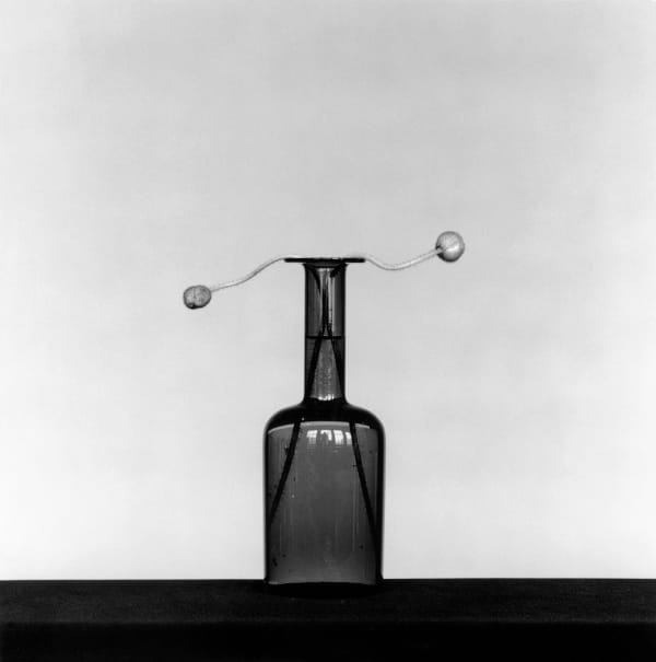 Robert Mapplethorpe Poppy, 1982 Silver gelatin print Image size: 38.5 x 38.5 cm | 15 1/8 x 15 1/8 in Paper size: 50.8 x 40.6 cm | 20 x 16 in Framed dimensions: 61.2 x 58.8 x 2.8 cm / 24 1/8 x 23 1/8 x 1 1/8 in Edition 10/10