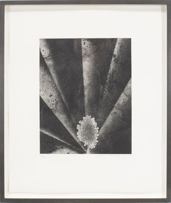 Kiki Smith, Standing V, 2014