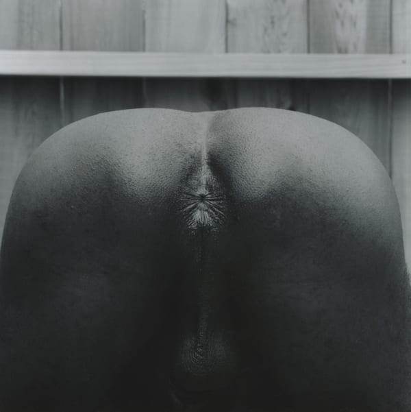 Robert Mapplethorpe Marty Gibson, 1982 silver gelatin print 5/10