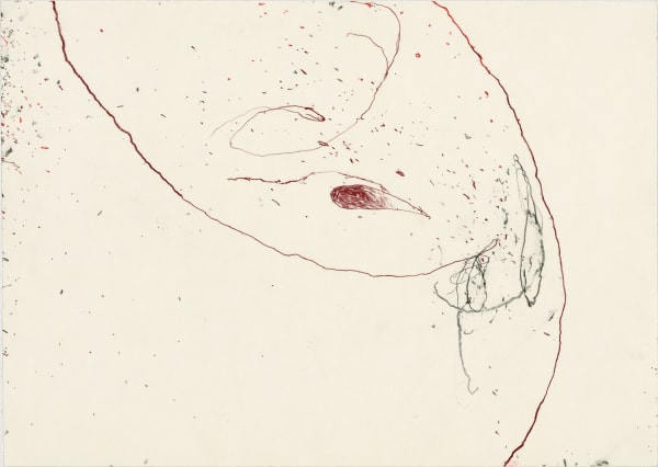 Z749_2018__Lichtsaat__Bleistift_und_Farbstift_auf_Papier_42x60,5cm