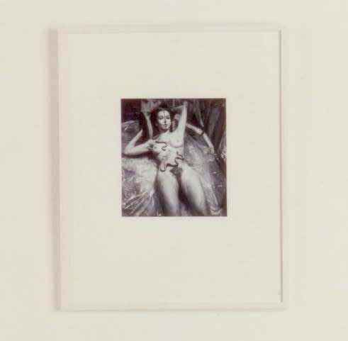 Carolee Schneemann, Eye Body 1963, 1963