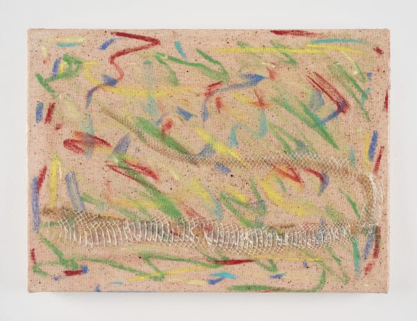 Cosima zu Knyphausen silence not absence (the emperor is naked!), 2020 Pastel, snake skin, bat excrement 16 x 22 cm 6 1/4 x 8 5/8 in