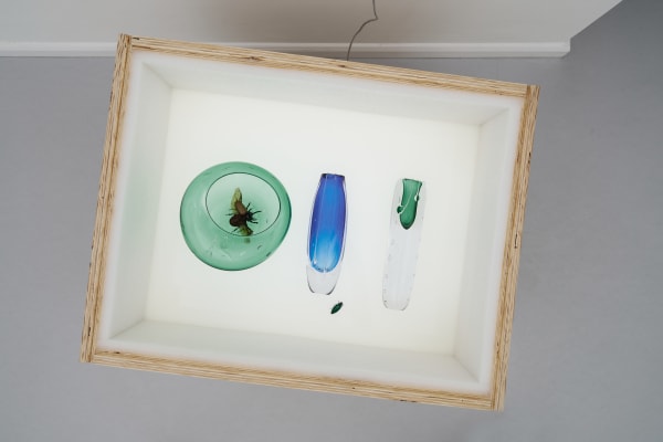 Maria Loboda Vasemania / Urn Burial, 2025 Hand blown glass vases, wooden crate, insects 93.5 x 69.5 x 49.5 cm 36 3/4 x 27 3/8 x 19 1/2 in