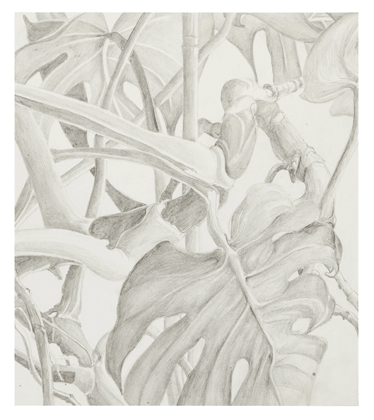 Anna Oppermann, Untitled, 1968