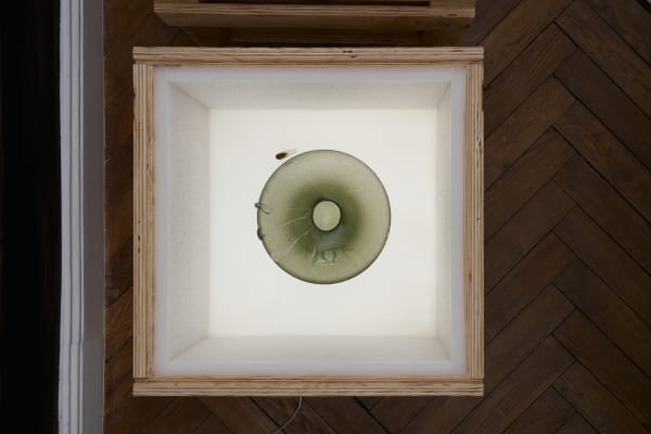 Maria Loboda, Vasemania / Urn Burial, 2025