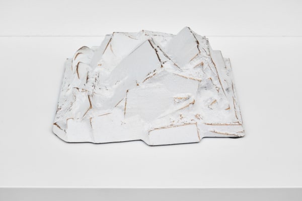 Ayse Erkmen, deep white/not the color it is, 2014