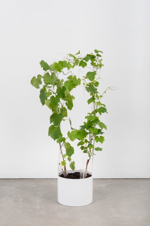 stefanhaehnel_GTS_Loboda-22