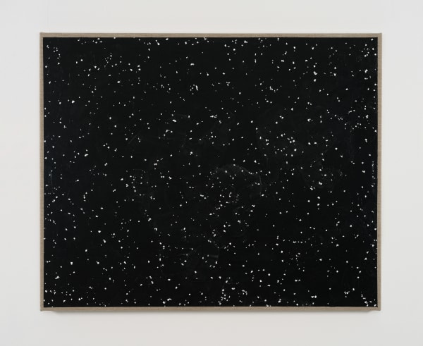 Cosima zu Knyphausen egg mosaic VII, 2024 Egg shells, vinyl paint on linen 80 x 105 cm 31 1/2 x 41 3/8 in