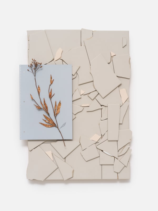 José Montealegre, planta sobre terra sigilata, 2025