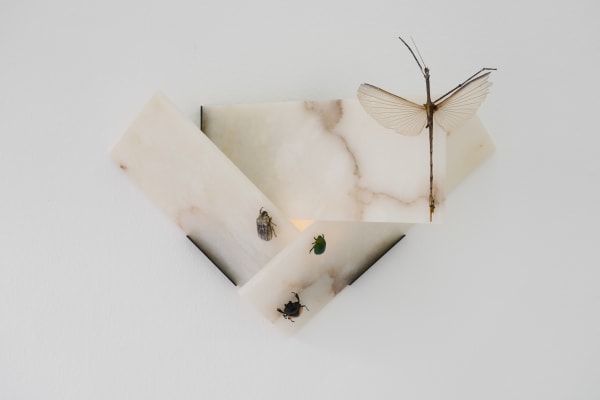 Maria Loboda The Chosen IV, 2019 Eupatorus gracilicornis, Lepidiota stigma, Neolucahus parryi, Cyrtotrachelus dux, Torynorrhina flammea, alabaster, metal, electric wiring 28 x 46.5 x 23 cm 11 x 18 1/4 x 9 in