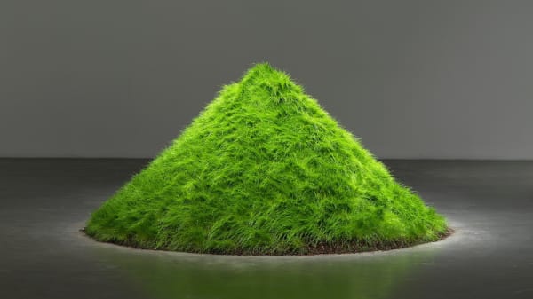 Hans Haacke, Plant/Grass Artwork