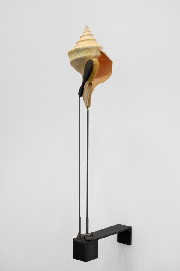 Rebecca Horn Schlupfloch, 2019 Shell, hairbrush, steel, motor, electronics 127 x 25 x 50 cm 50 x 9 7/8 x 19 3/4 in