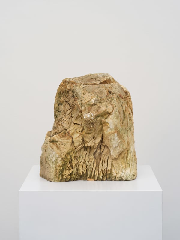 Maria Loboda Warrior with a Baroque Pearl Earring, 2024 Petrified wood, earring 36 x 31 x 34 cm 14 1/8 x 12 1/4 x 13 3/8 in