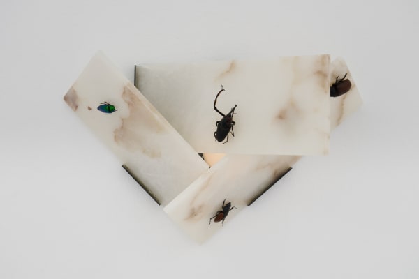 Maria Loboda The Chosen II, 2019 Ondontolabis eleganis (2x m&f), Cyrtotrachelus dux, Dorysthenes buqueti, alabaster, metal, electric wiring 28 x 46.5 x 23 cm 11 x 18 1/4 x 9 in