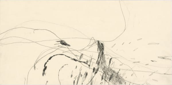 Z607_2000__bis _zum_aeussersten_Ende_des_Mundes__Bleistift_auf Papier_30x61cm