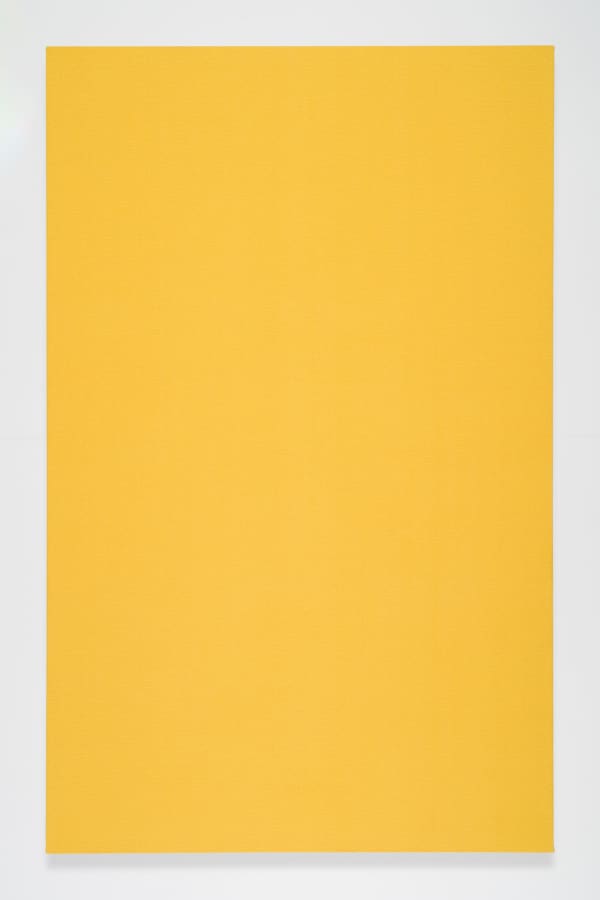 Willem de Rooij P, 2024 Hand woven tapestry on wooden stretcher 239 x 150 x 5 cm 94 1/8 x 59 x 2 in