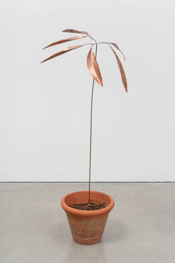 José Montealegre página 0377, figura 3, 2023 copper arrangement 135.5 x 61 x 59 cm 53 3/8 x 24 x 23 1/4 in
