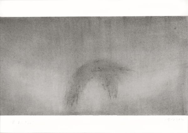 Guy Oberson, Vol du milan et onde 1-3, 2022