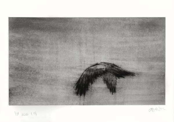 Guy Oberson, Vol du milan 19, 2022