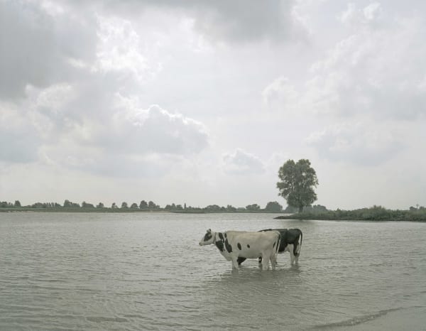 Han Singels, 11 kl Uiterwaarden bij Graaf 2 2005
