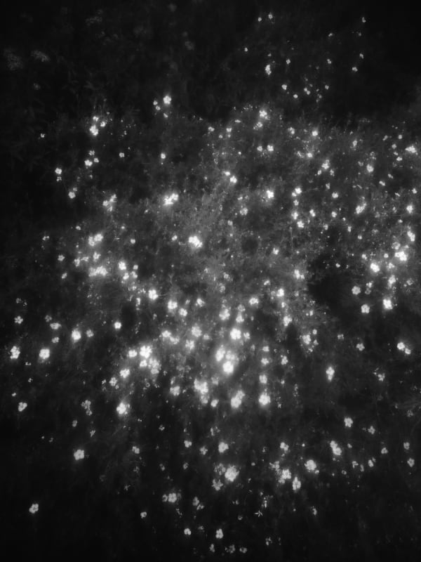 Rogier Houwen, 05 Rogier Houwen - Above Below