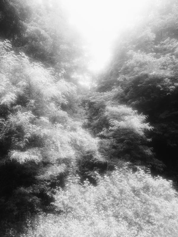 Rogier Houwen, 07 Rogier Houwen - Above Below