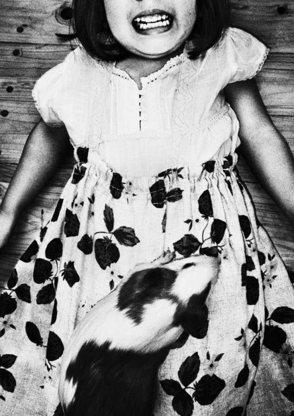 Jacob Aue Sobol, With and without You 72