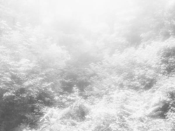 Rogier Houwen, 09 Rogier Houwen - Above Below