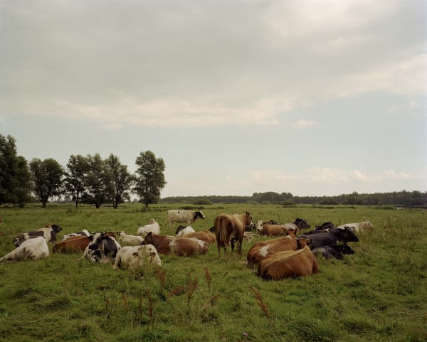 Han Singels, Het Twiske 2007