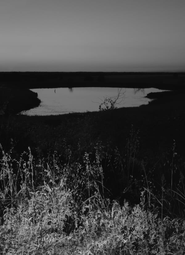 Bryan Schutmaat, Pond B, 2020